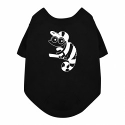 Футболки для собак