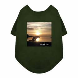 Футболки для собак