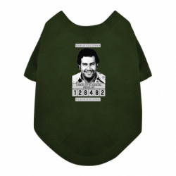 Футболки для собак