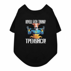 Футболки для собак