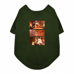 Футболки для собак