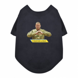 Футболки для собак