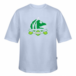 Футболка оверсайз FATLINE Угруповання Воля Сталкер 2