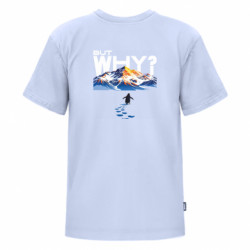 Футболки дитячі преміум FATLINE - FATLINE