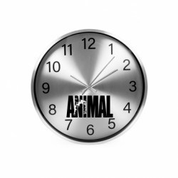 Годинники настінні SilverTime