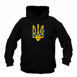 Худі дитячі преміум FATLINE