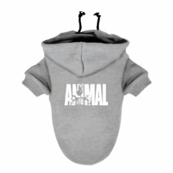 Худи для собак