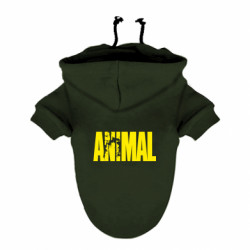 Худі для собак