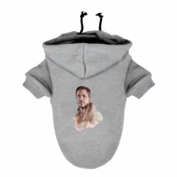 Худі для собак