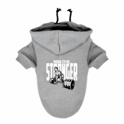 Худи для собак