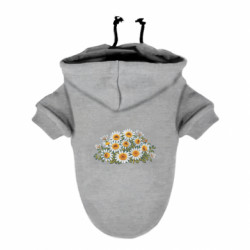 Худи для собак