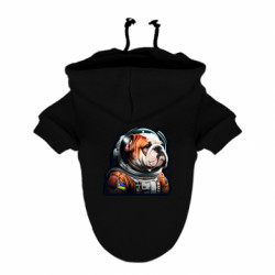 Худи для собак