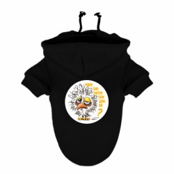 Худи для собак