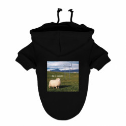 Худи для собак