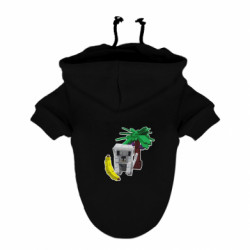 Худи для собак