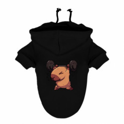 Худи для собак