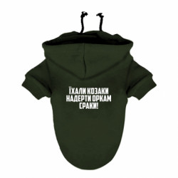 Худи для собак