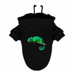 Худи для собаки Хамелеон - FATLINE Худи для собаки Хамелеон