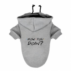 Худи для собак