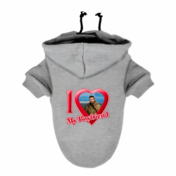 Худи для собак