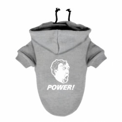 Худи для собак