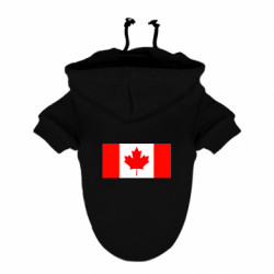 Худі для собак