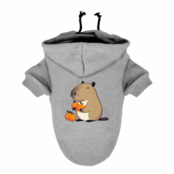 Худи для собак