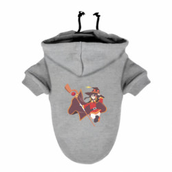 Худи для собак