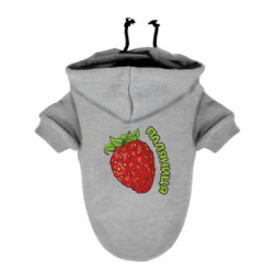 Худи для собак