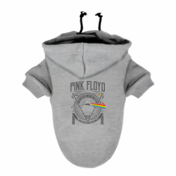 Худи для собак