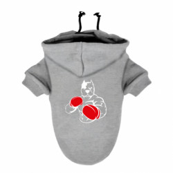 Худи для собак