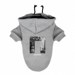 Худи для собак