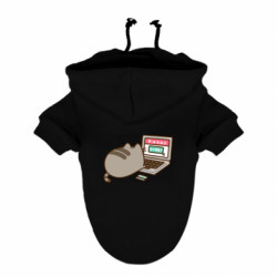 Худи для собак