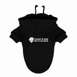 Худи для собак