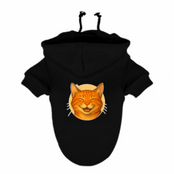 Худи для собак