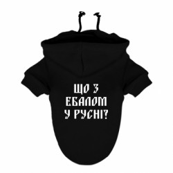Худи для собак