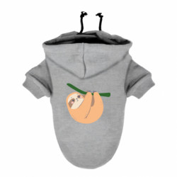 Худи для собак