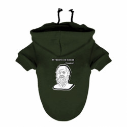 Худи для собак