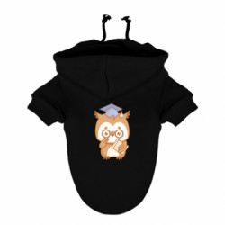 Худи для собак