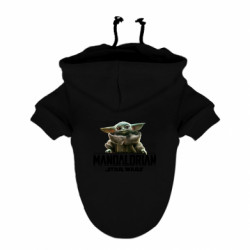 Худі для собак