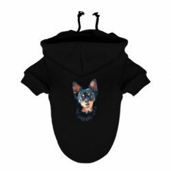 Худи для собак