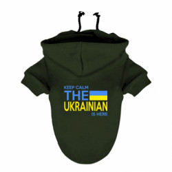 Худи для собак