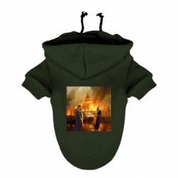 Худи для собак