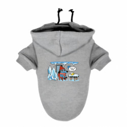 Худи для собак