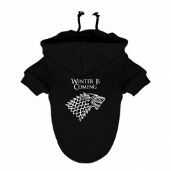 Худи для собак