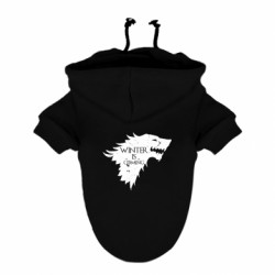 Худі для собак