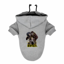 Худі для собак