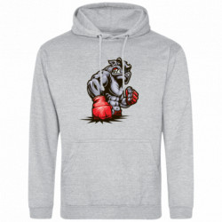 Худі полегшені