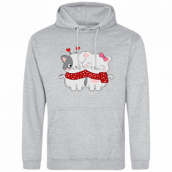 Худі полегшені