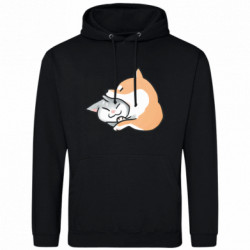 Худі полегшені